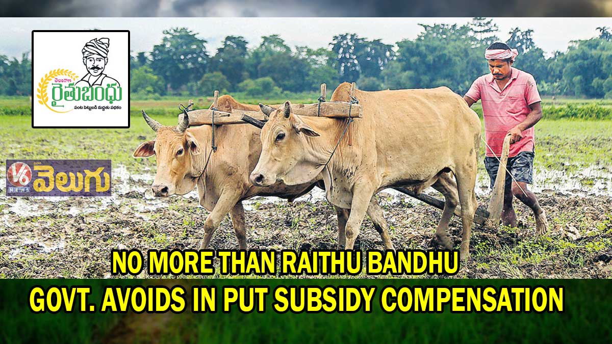 No more than Raithu Bandhu.. Govt. avoids in put subsidy compensation